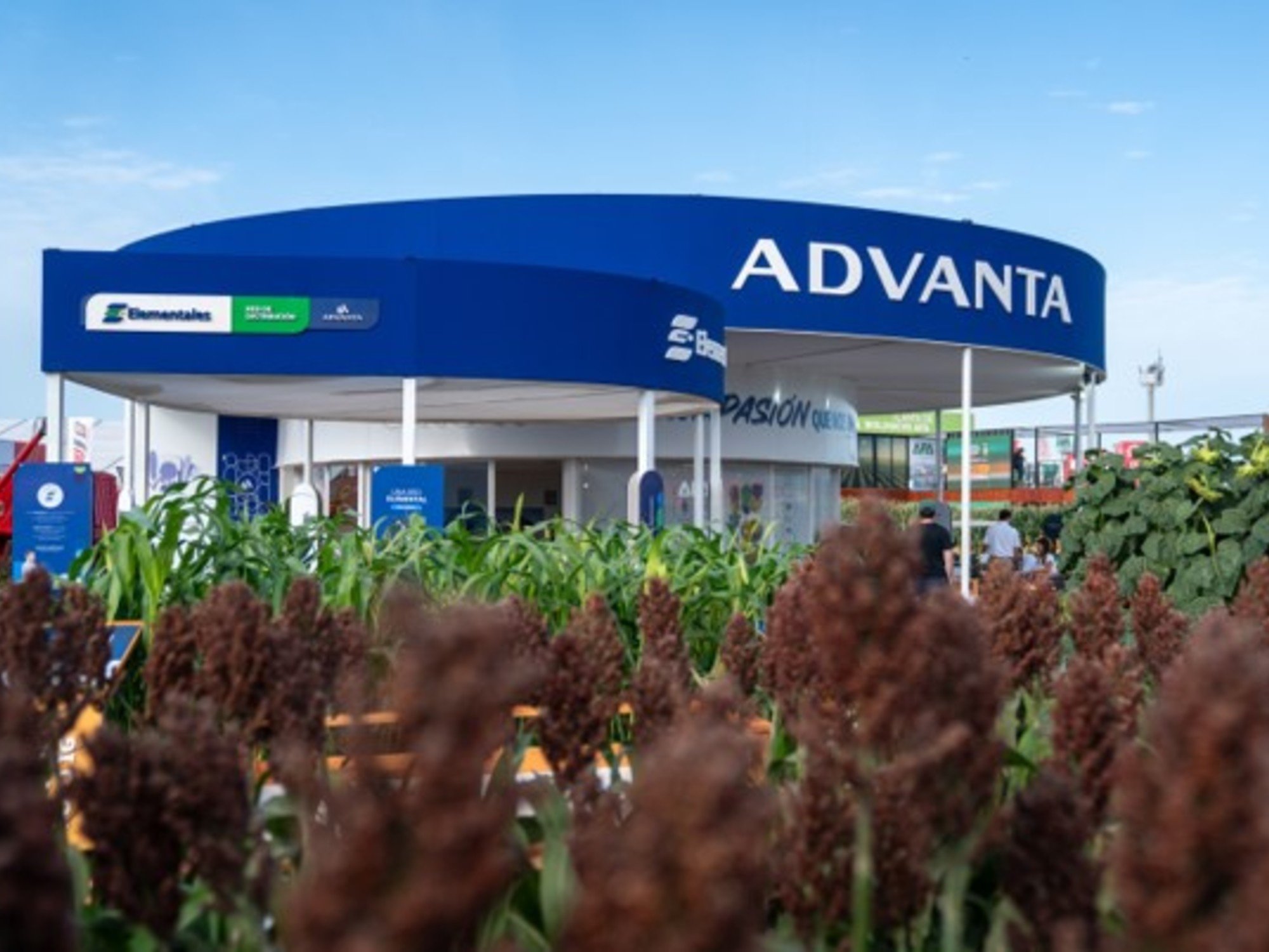 Semillas para tres cultivos estrellas: una propuesta integral para celebrar más de 30 años de trayectoria en la próxima Expoagro