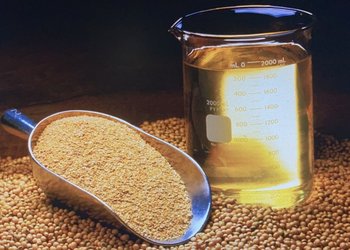 Uno de los principales productos de exportación del país subió 35% en lo que va del año y alcanzó precios máximos desde mediados de 2023