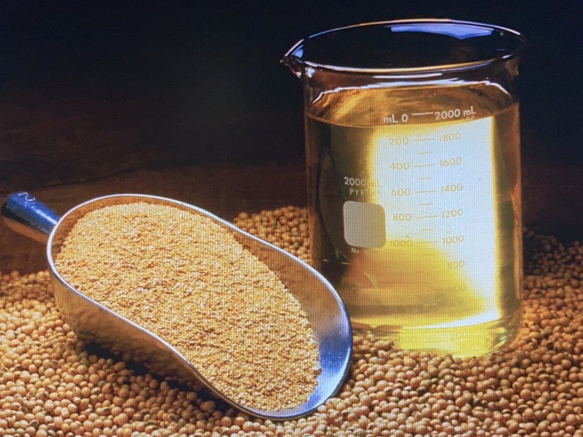 Uno de los principales productos de exportación del país subió 35% en lo que va del año y alcanzó precios máximos desde mediados de 2023