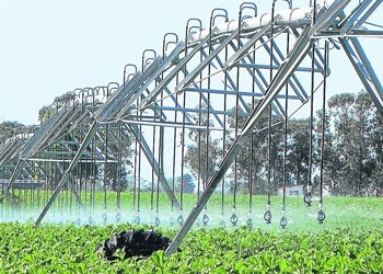 Incentivo para Pymes agroindustriales: todos los detalles del RIMI