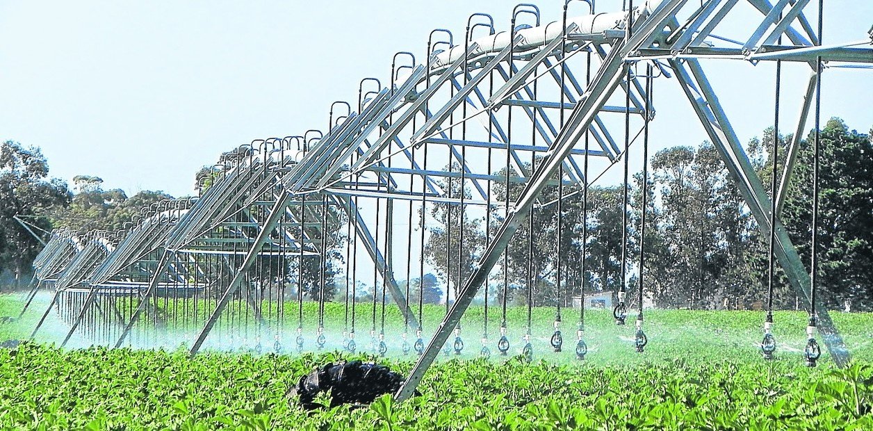 Incentivo para Pymes agroindustriales: todos los detalles del RIMI