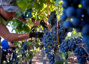 Crisis estructural en la última década: 8 economías regionales pasaron la mitad del tiempo en rojo