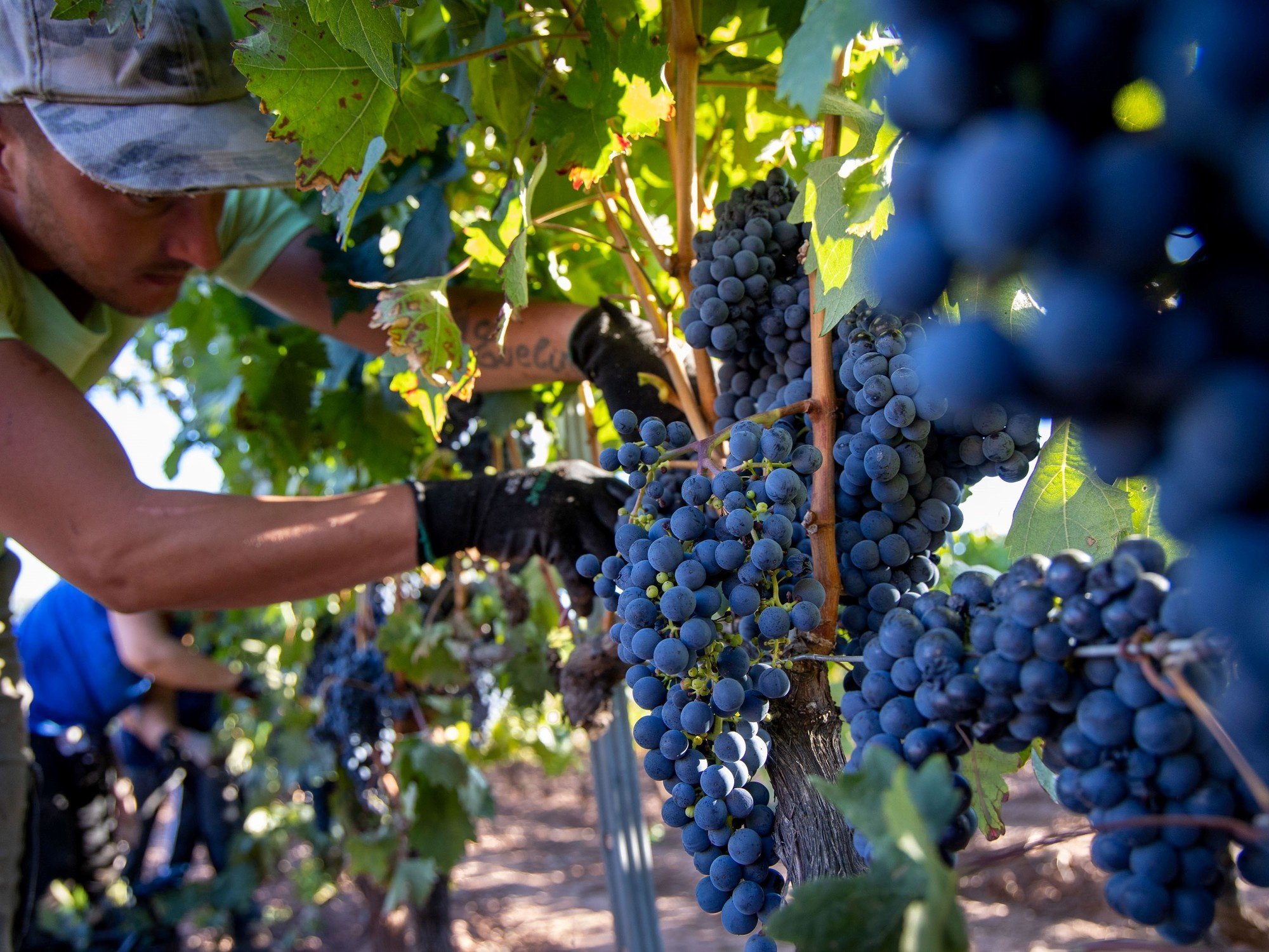 Crisis estructural en la última década: 8 economías regionales pasaron la mitad del tiempo en rojo