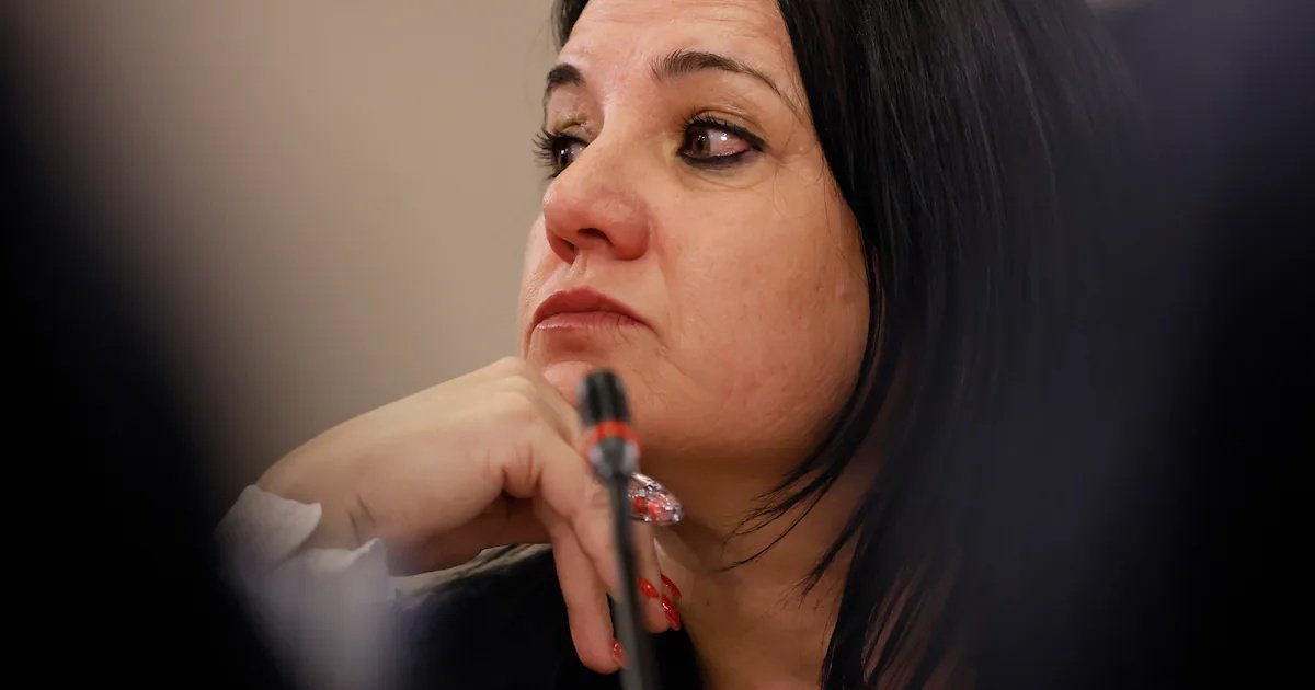 La semana en que se fracturó la relación Steinert–PDI: un oficio, remoción y el silencio de Cerna