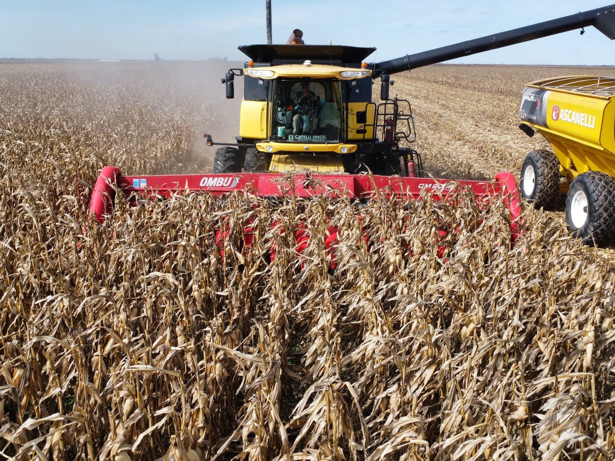 La primera foto de la cosecha de maíz: los rindes rondan los 100 qq/ha en la zona núcleo, aunque hay mucha disparidad