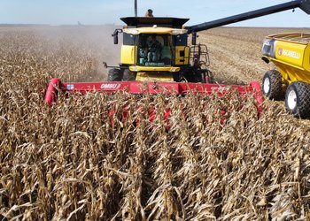 Guerra en Medio Oriente: las fuertes subas de precios del gasoil y de los fertilizantes impactan en los márgenes del campo