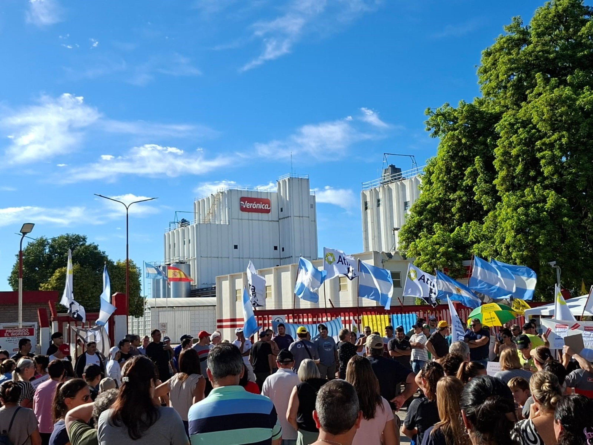 Incertidumbre sobre el futuro de una de las principales lácteas del país: acumula cheques rechazados por $13.600 millones y sus 3 plantas están paralizadas