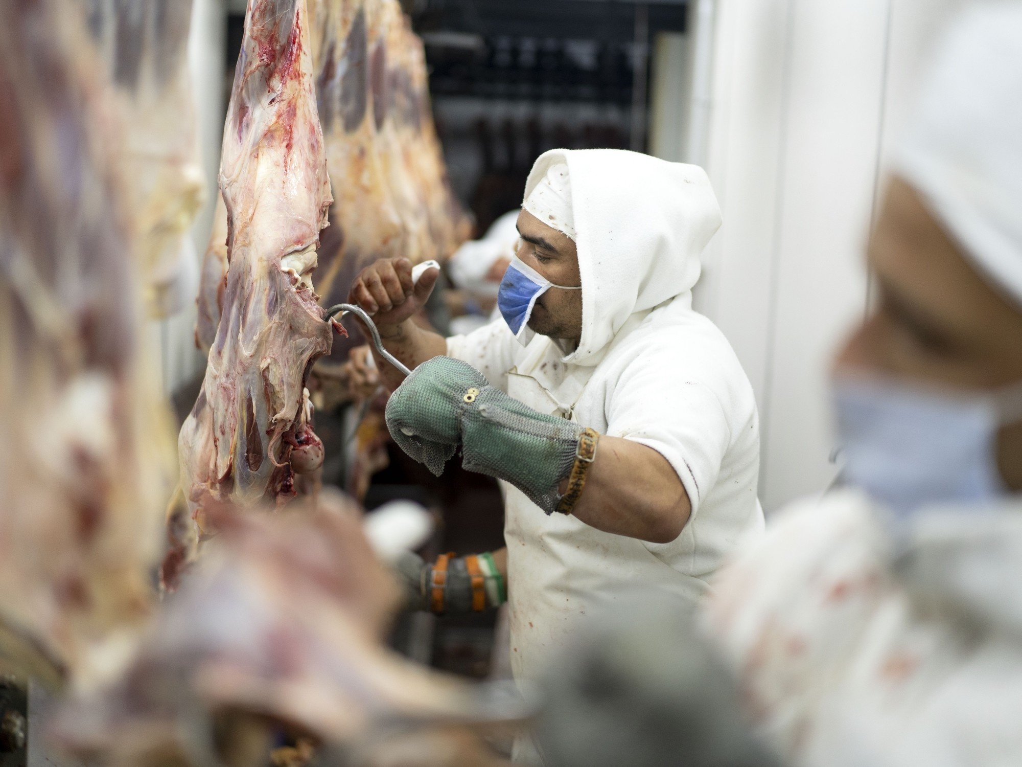 En lo que va de enero, China pagó un 10% más por la carne argentina