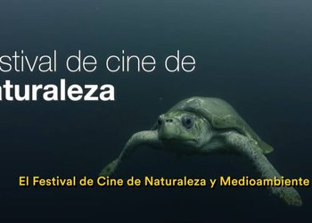 Del Amazonas al océano: Festival de Cine Santiago Wild revela su cartelera y abre venta de entradas
