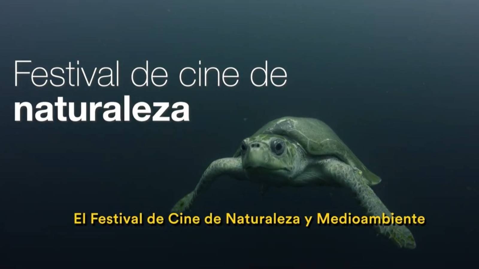 Del Amazonas al océano: Festival de Cine Santiago Wild revela su cartelera y abre venta de entradas