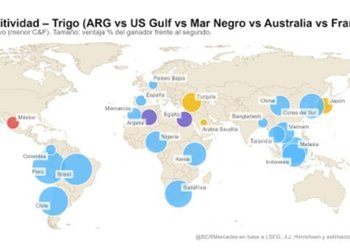 Trigo récord: Argentina ya exportó 9,4 millones de toneladas y consolida su competitividad global