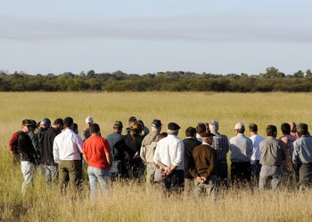 Comunicar la agricultura: una tarea estratégica para los agricultores y los países