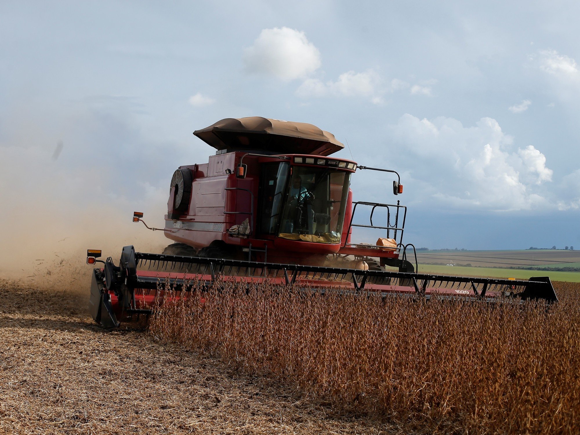 La soja encuentra sostén y espera una señal clave del USDA