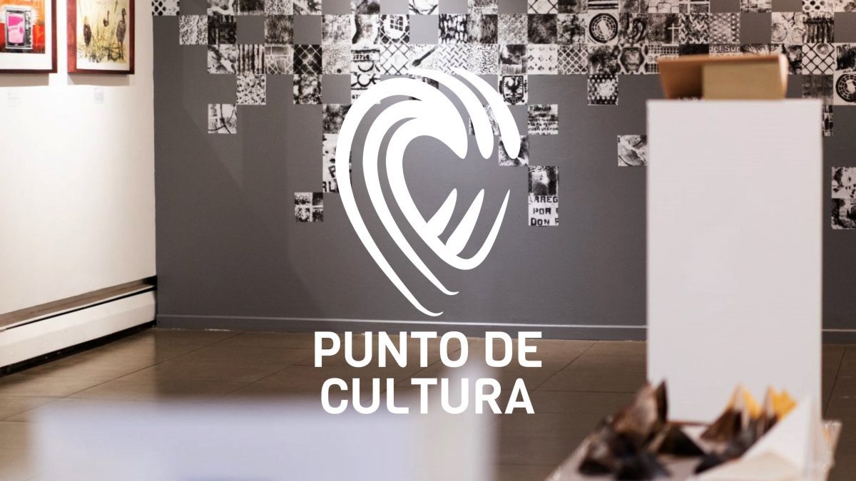 Polémica en Concepción por muestra erótica abierta a todo público