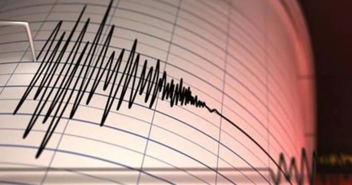 SHOA descarta posible tsunami para las costas de Chile tras terremoto 7,1 en Japón