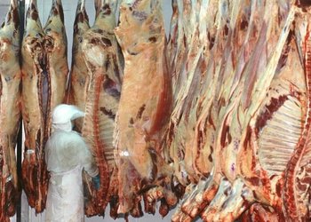 Los frigoríficos ven una gran oportunidad para consolidar la agenda sanitaria y de acceso a mercados