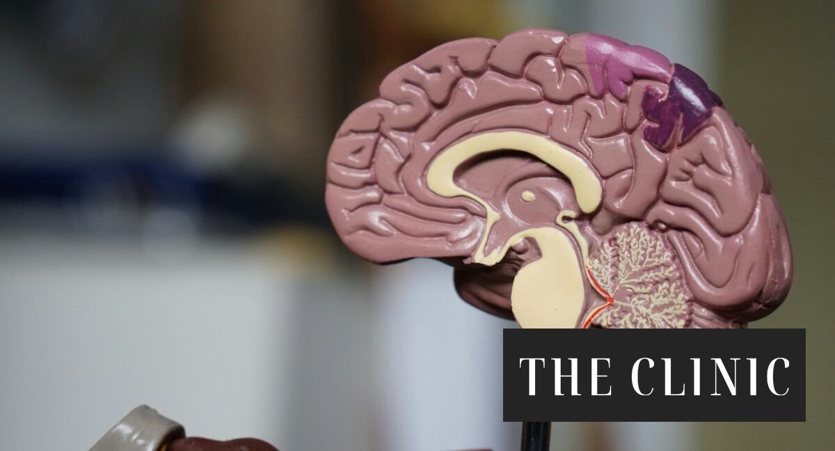 La gran deuda del estudio del Alzheimer en América Latina: “Las personas no saben que la proyección para 2050 es muy desesperanzadora”