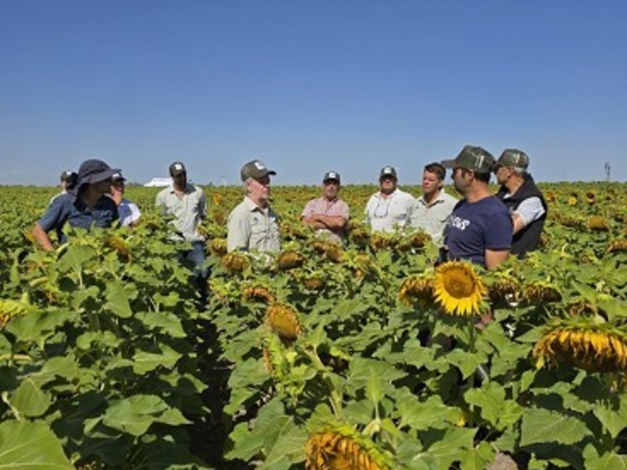 Empresa semillera argentina celebra 20 años de innovación y expandiendo sus fronteras