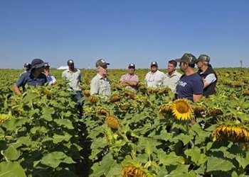 Talentos para el agro: qué buscan las empresas y qué esperan los jóvenes