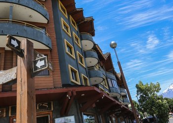 El caso de las perras fallecidas en Pucón por un cable del tendido eléctrico caído: “Hay dos víctimas, pero esto podría haber sido mucho más grave”