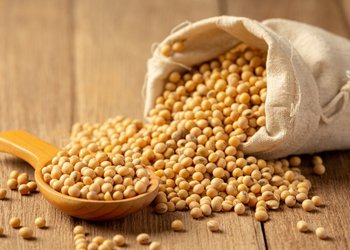 Entre la geopolítica y la sobreoferta, el mercado se acerca a un momento de definición clave