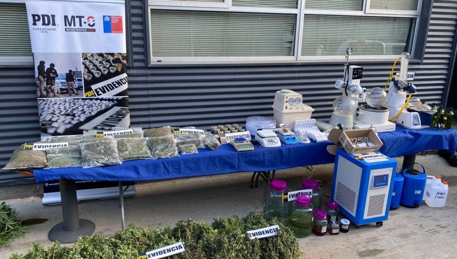 Periodista reportando noticias