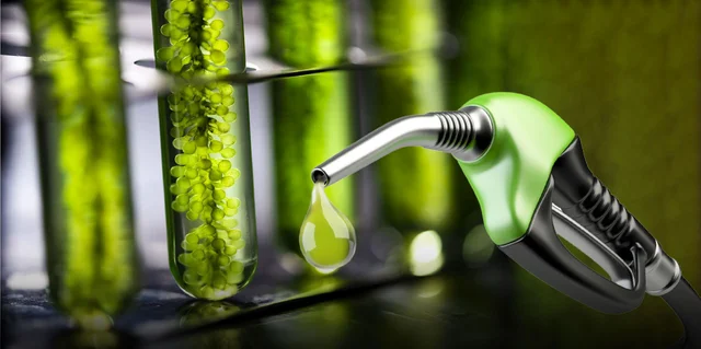 Iniciativa Legislativa Busca Modernizar el Marco de Biocombustibles en Argentina