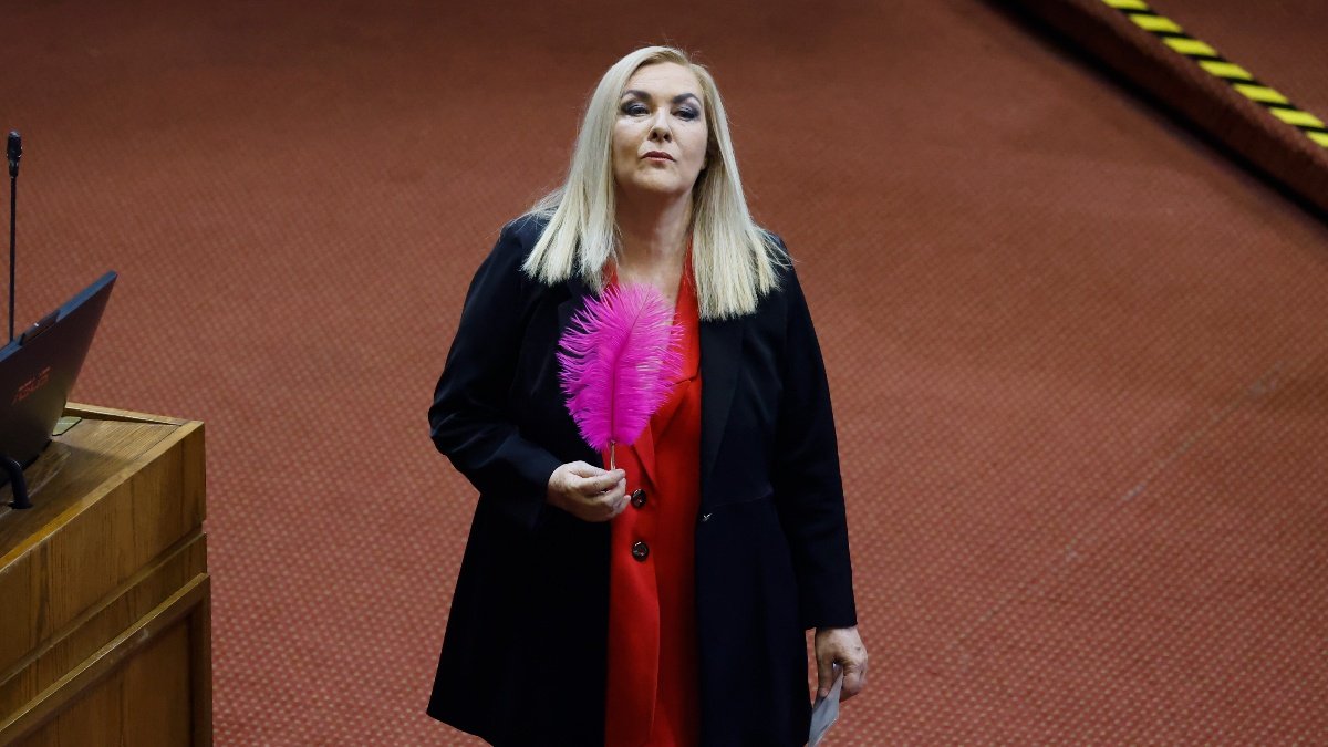 Elección en la Cámara: Jiles atribuyó su derrota a que el ministro Alvarado le "pirquineó" votos