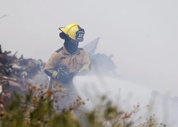 Combaten cuatro incendios forestales en el país: siniestros se ubican Maule y La Araucanía