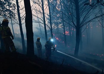 Se mantienen alertas rojas en Vichuquén y Linares: Conaf reporta cuatro incendios forestales en combate