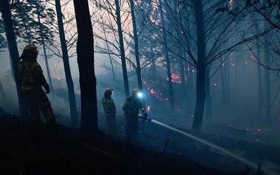 Se mantienen alertas rojas en Vichuquén y Linares: Conaf reporta cuatro incendios forestales en combate