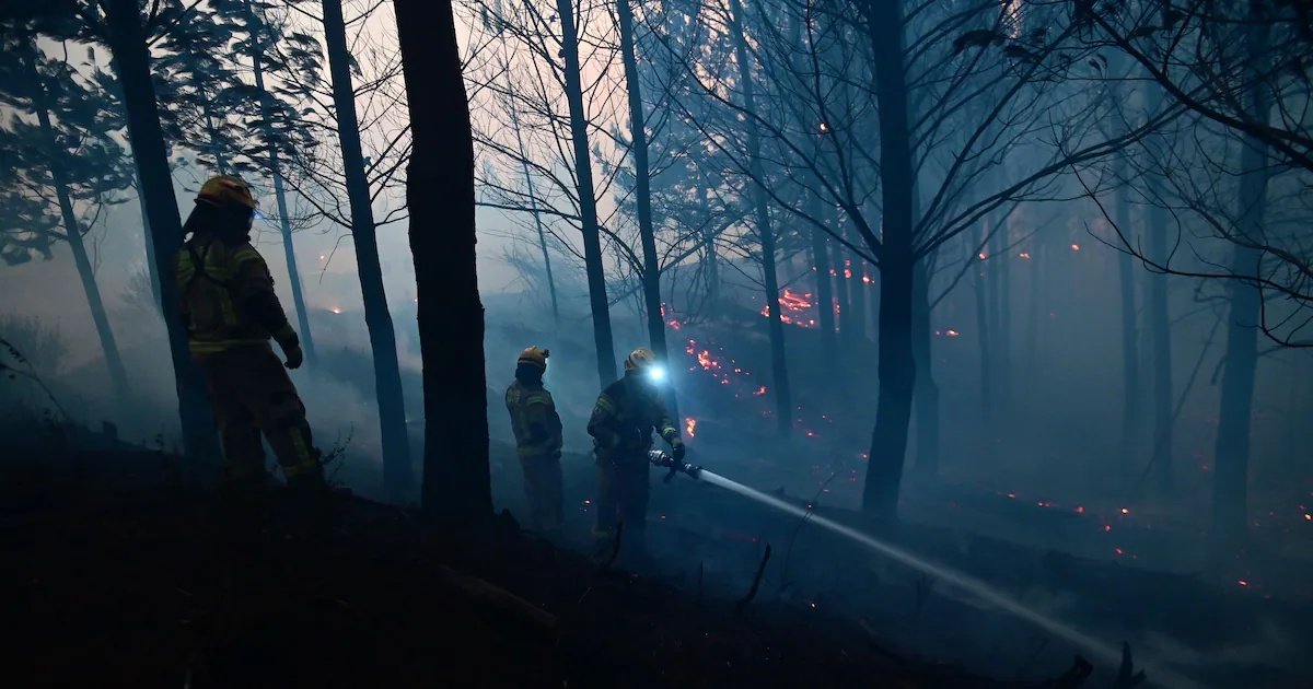 Se mantienen alertas rojas en Vichuquén y Linares: Conaf reporta cuatro incendios forestales en combate