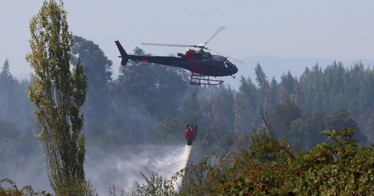 Declaran alerta roja en Machalí por incendio forestal cercano a reserva nacional Rio Los Cipreses