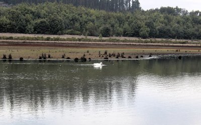 Ante riesgo de incendios forestales: Conaf cierra Parque La Campana y Reserva Nacional Lago Peñuelas desde este miércoles