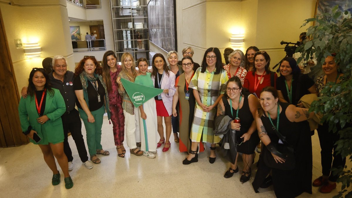 Comisión de Salud de la Cámara aprobó idea de legislar proyecto de aborto