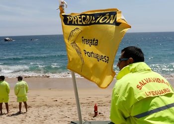 Seremi de Salud de Valparaíso prohíbe el baño en playas de Algarrobo, El Quisco y Concón por fragata portuguesa