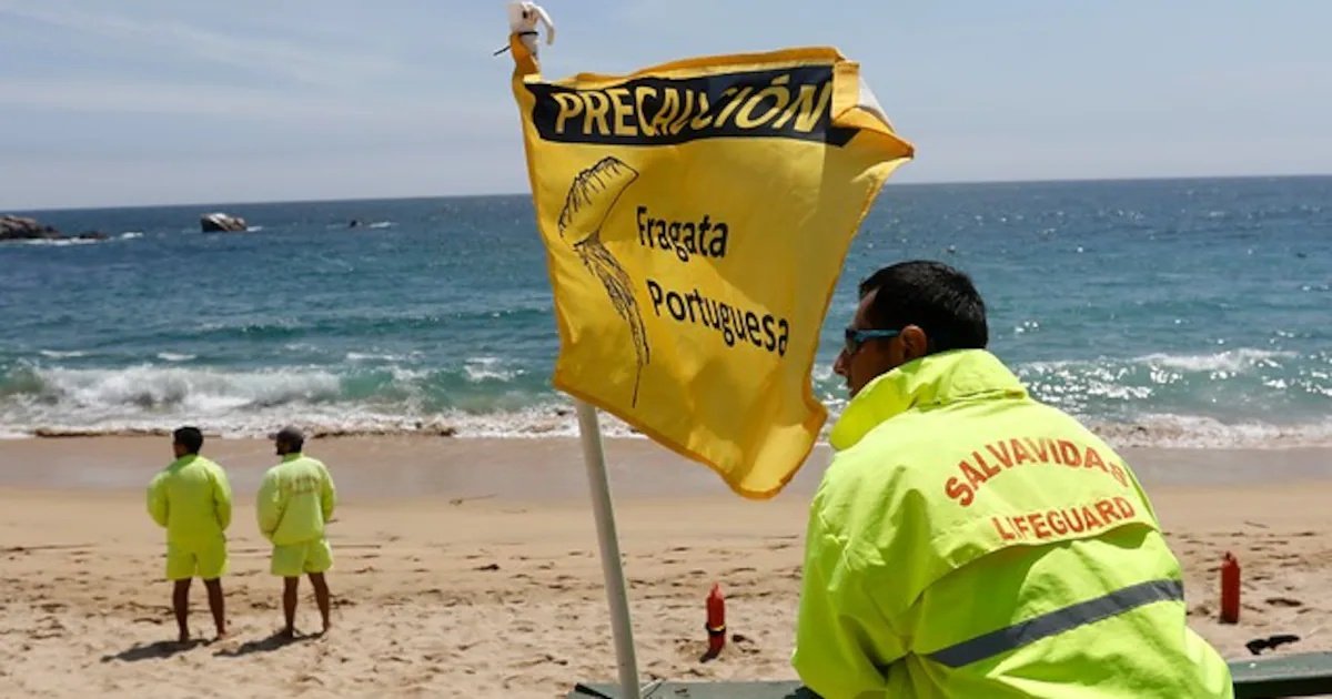 Seremi de Salud de Valparaíso prohíbe el baño en playas de Algarrobo, El Quisco y Concón por fragata portuguesa