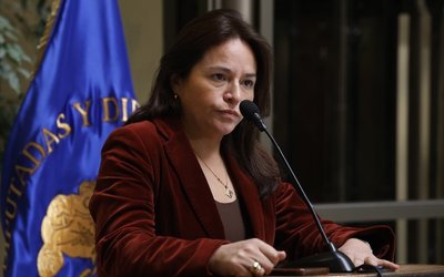 Demócratas continuará como "movimiento político" bajo el liderazgo de la diputada Joanna Pérez
