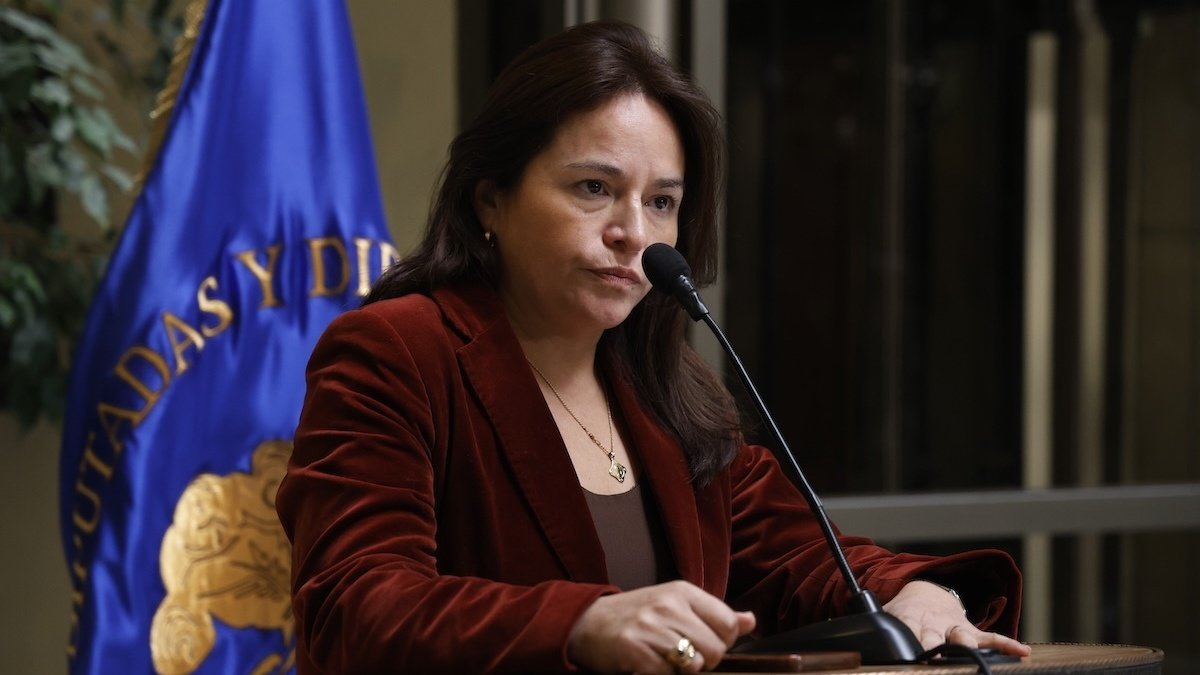 Demócratas continuará como "movimiento político" bajo el liderazgo de la diputada Joanna Pérez